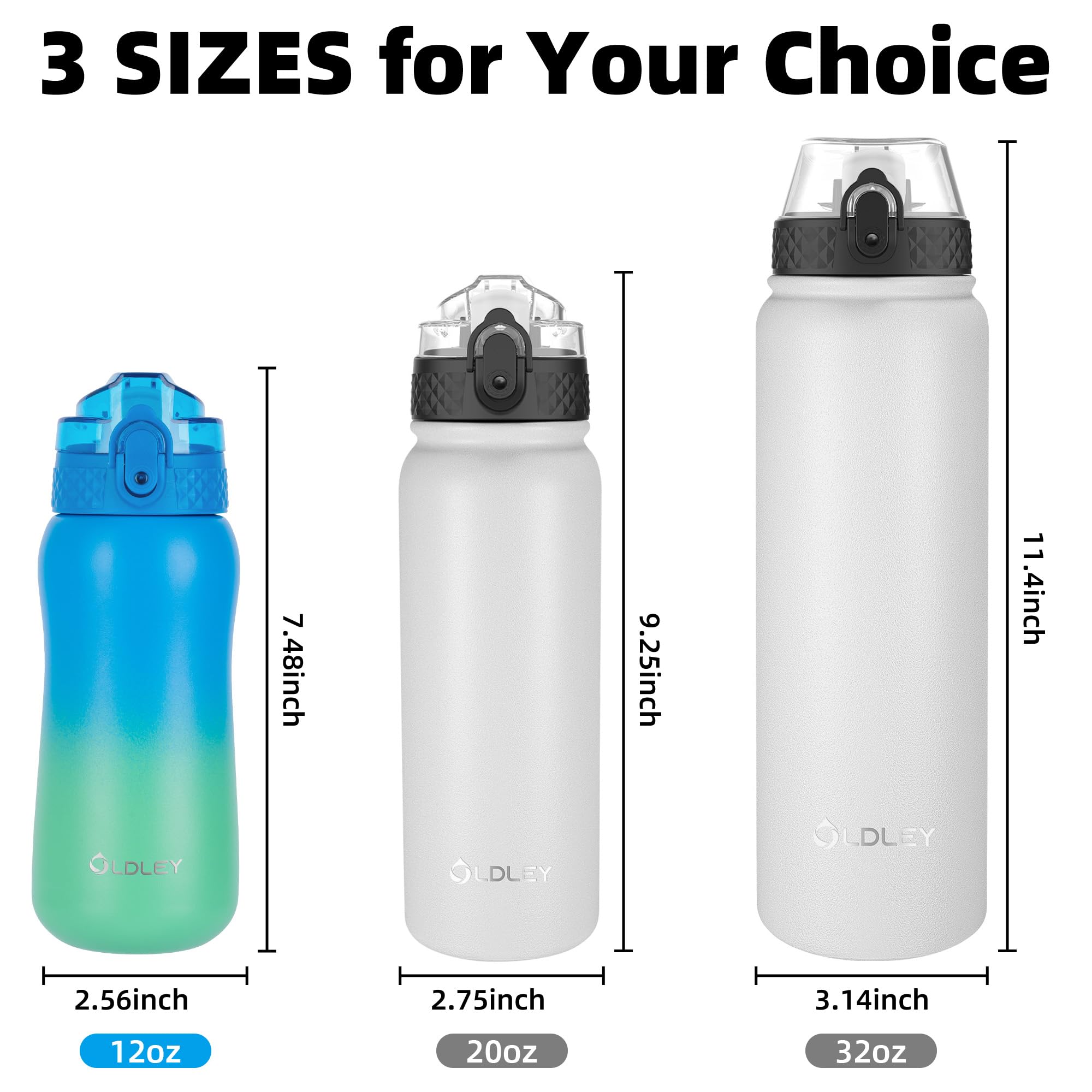 OLDLEY 12oz Insulated Stainless Steel Water Bottle with Straw & 2 Lids - Double Wall Vacuum Kids Water Bottle for School, Sports, Travel - Leak Proof & Eco Friendly - Perfect for School Lunches, Gym Workouts & Outdoor Adventures (Tropical Rainforest Design)