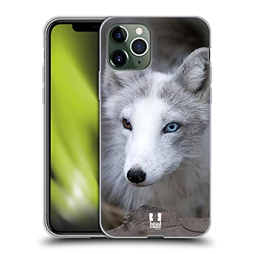 Coloured Eye Arctic Fox