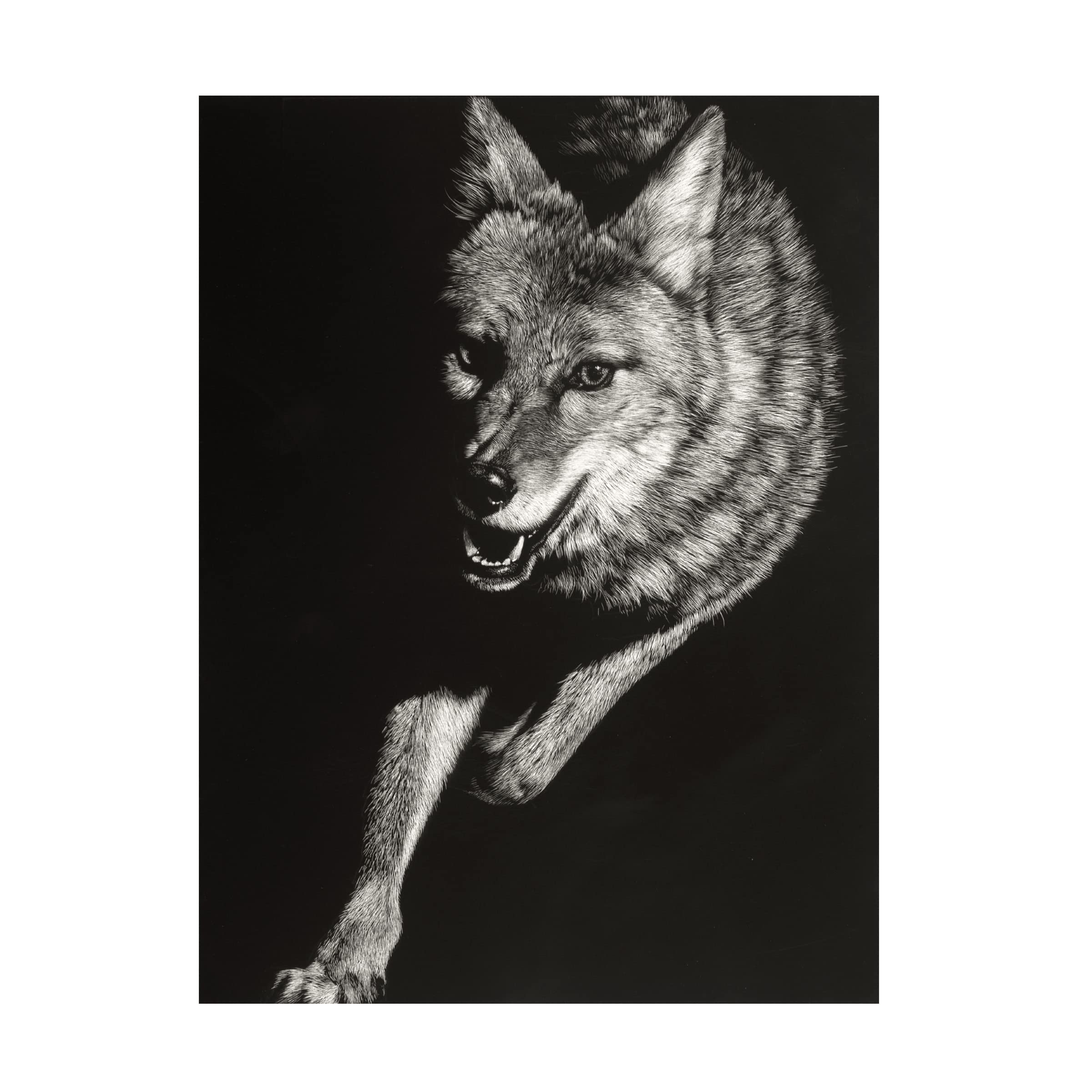 Wild Scratchboard V Canvas Art by Julie T Chapman - Handmade Wildlife Painting for Home & Office Decor | Perfect for Living Room, Bedroom, or Office Wall Art