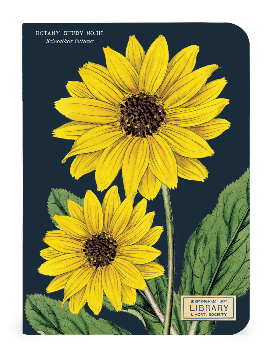 Botany Themed Mini Notebook Set - 3 Pack for Journaling, Note Taking & Gift Giving - Perfect for Students, Writers & Office Use