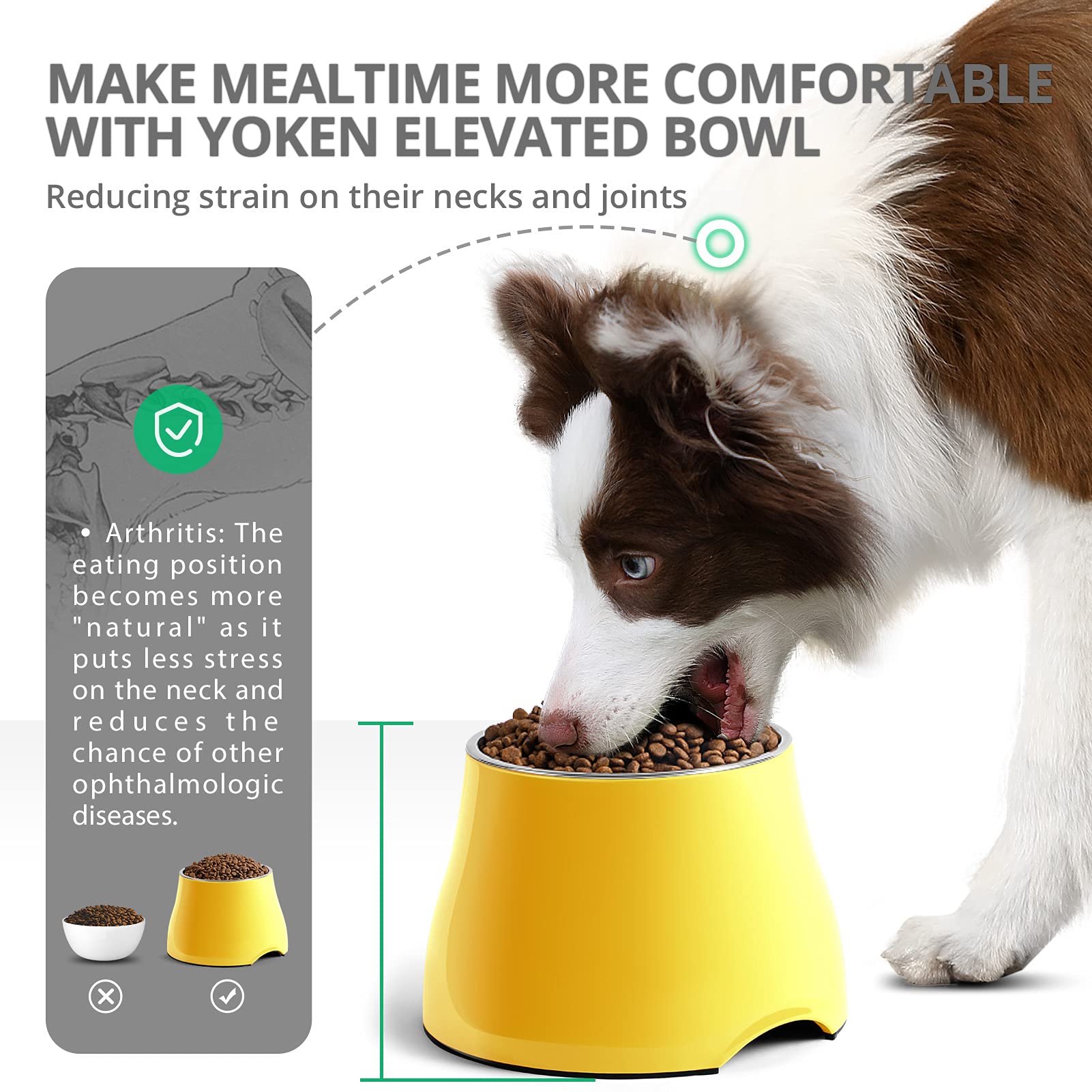 Elevated Dog Bowls for Small & Medium Dogs - Non-Slip Raised Feeder with Stainless Steel Bowl, High Capacity Pet Food Dish - Prevents Neck Strain & Improves Digestion - Perfect for Home, Kitchen, or Outdoor Use