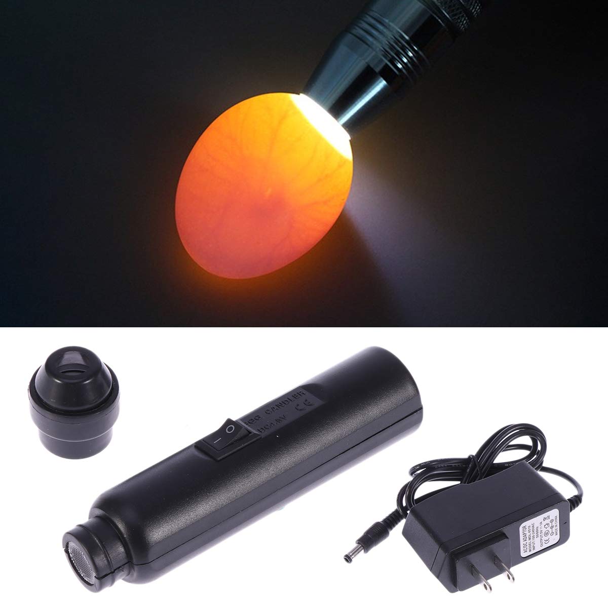 POPETPOP Egg Candler Tester - Bright LED Light for Chicken, Duck, Quail & All Egg Types - Battery Powered (US Standard) - Perfect for Poultry Farms, Hatcheries & Home Egg Hatching