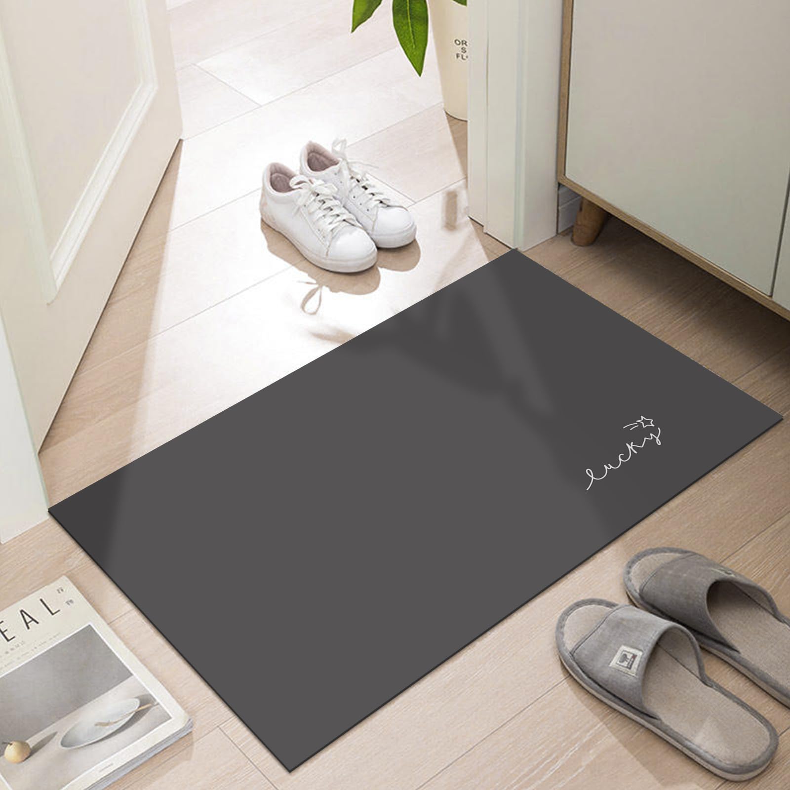 Ultra Thin Indoor Door Mat 24