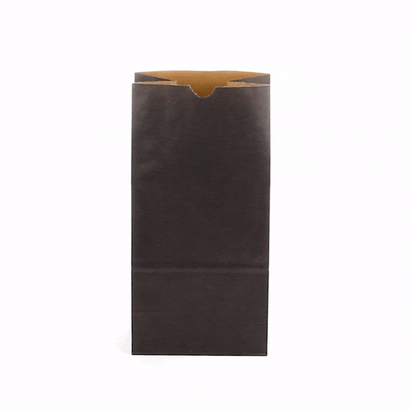 Premium Black Paper Bags 8 lb Capacity - 6 x 4 x 11.75 Inches - Pack of 100 - Ideal for Retail, Gift Packaging & Party Favors | Eco-Friendly Kraft Paper Shopping Bags