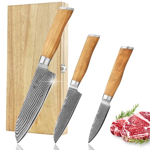 3Pcs Damascus Knife Set (OLV)