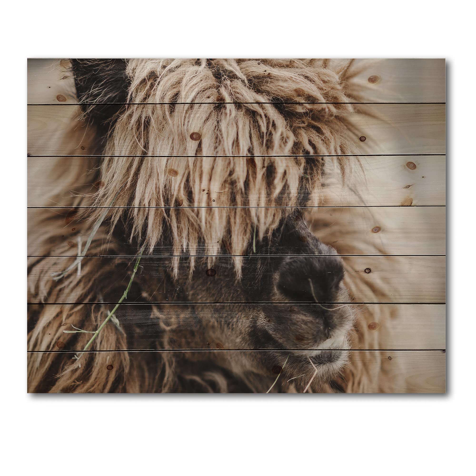 Fluffy Curly Alpaca Wood Wall Art - Farmhouse Animal Decor Printed on Natural Pine Wood - Large Rustic Wall Panels for Living Room, Bedroom & Nursery Decor