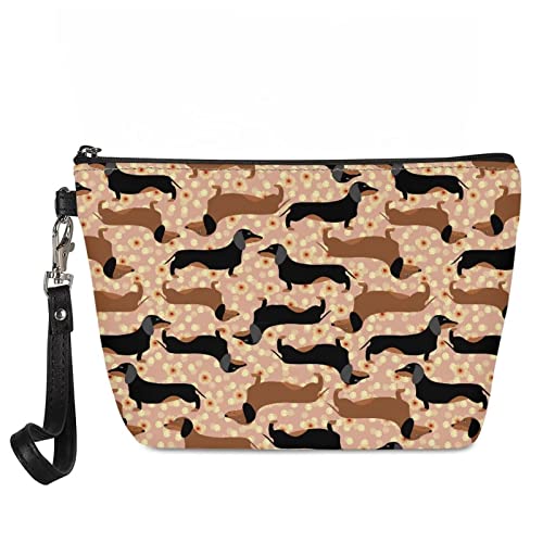 Dachshund