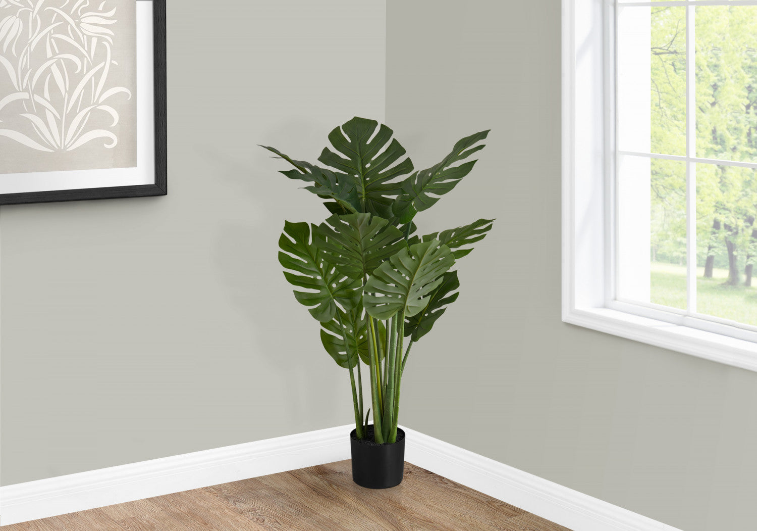 45 Monstera Deliciosa Swiss Cheese Plant with 6 Black Nursery Pots - Indoor Houseplant for Home Decor, Office, Living Room & Bedroom