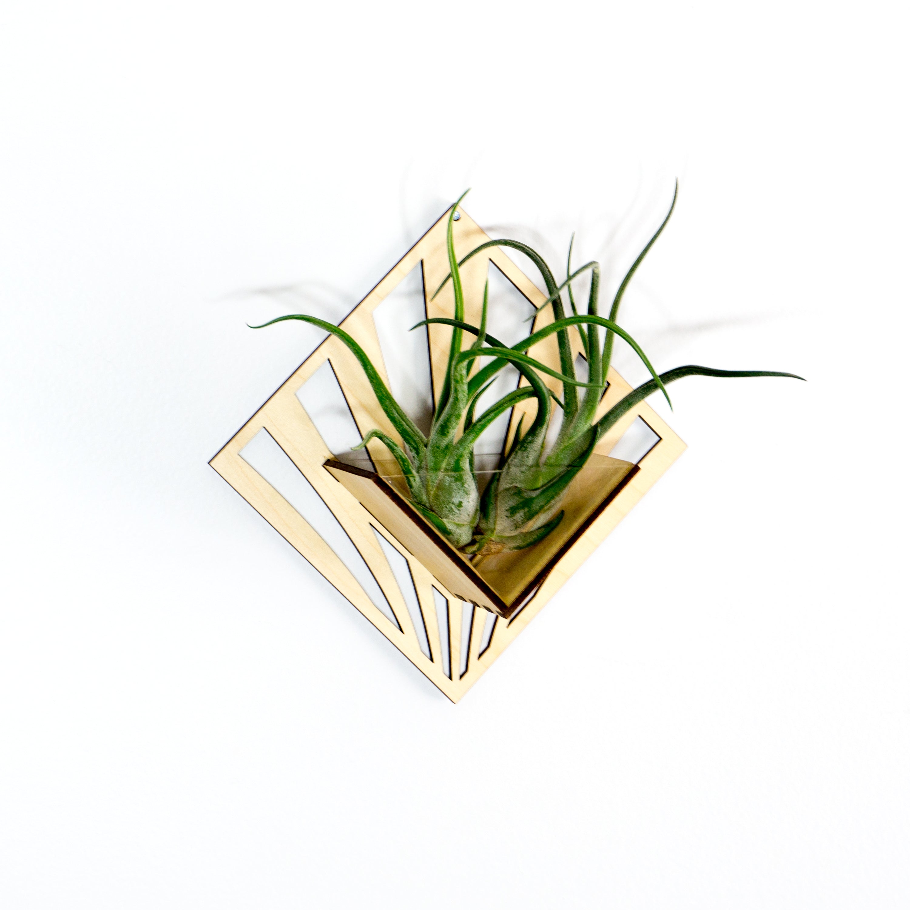 Handmade Wooden Quadrate Wall Planter Set of 2 - Air Plant Holder & Mounted Hanger Display for Tillandsia | Rustic Home Decor, Unique Plant Lover Gift Idea for Living Room, Bedroom or Office Decor