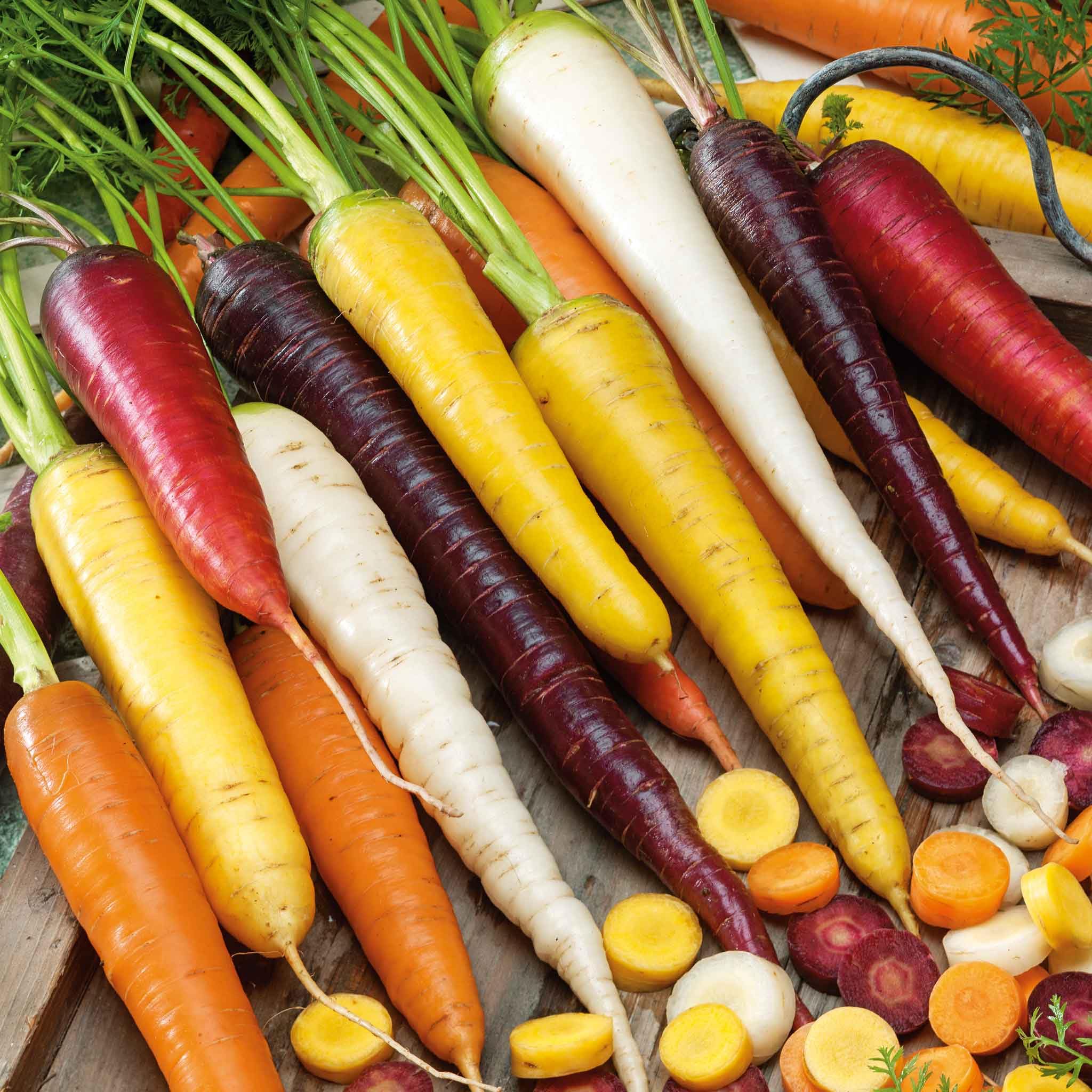 Eden Brothers Non-GMO Rainbow Carrot Seeds for Planting - 1/4 Pound Pack | Heirloom Vegetable Seeds for Home Garden, Easy to Grow in USDA Zones 2-10 | Perfect for Salads, Juicing & Healthy Snacks