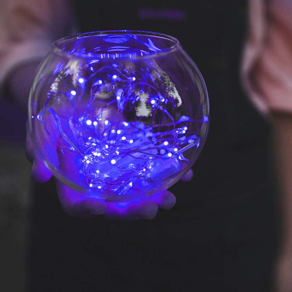 XUNATA 33ft LED String Lights with Remote Control - 100 LED 8 Modes Dimmable Outdoor Christmas Lights | Waterproof Copper Wire Fairy Lights for Holiday, Patio, Garden, Wedding & Party Decor (Blue)