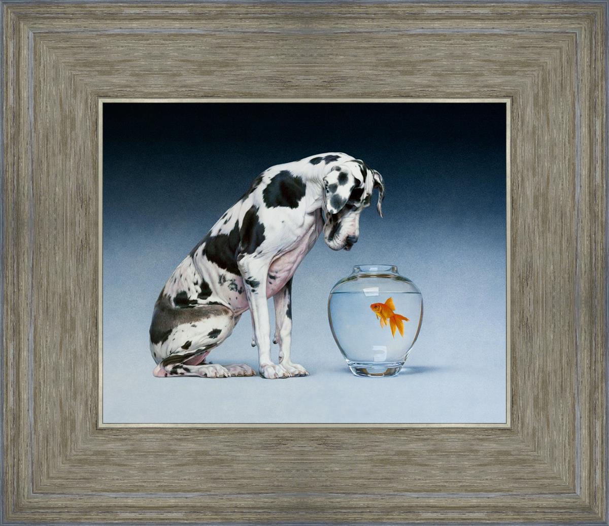 Dane And Fish By Chris Young - Premium Fishing Gear & Accessories for Outdoor Enthusiasts | Perfect for Freshwater & Saltwater Fishing Adventures