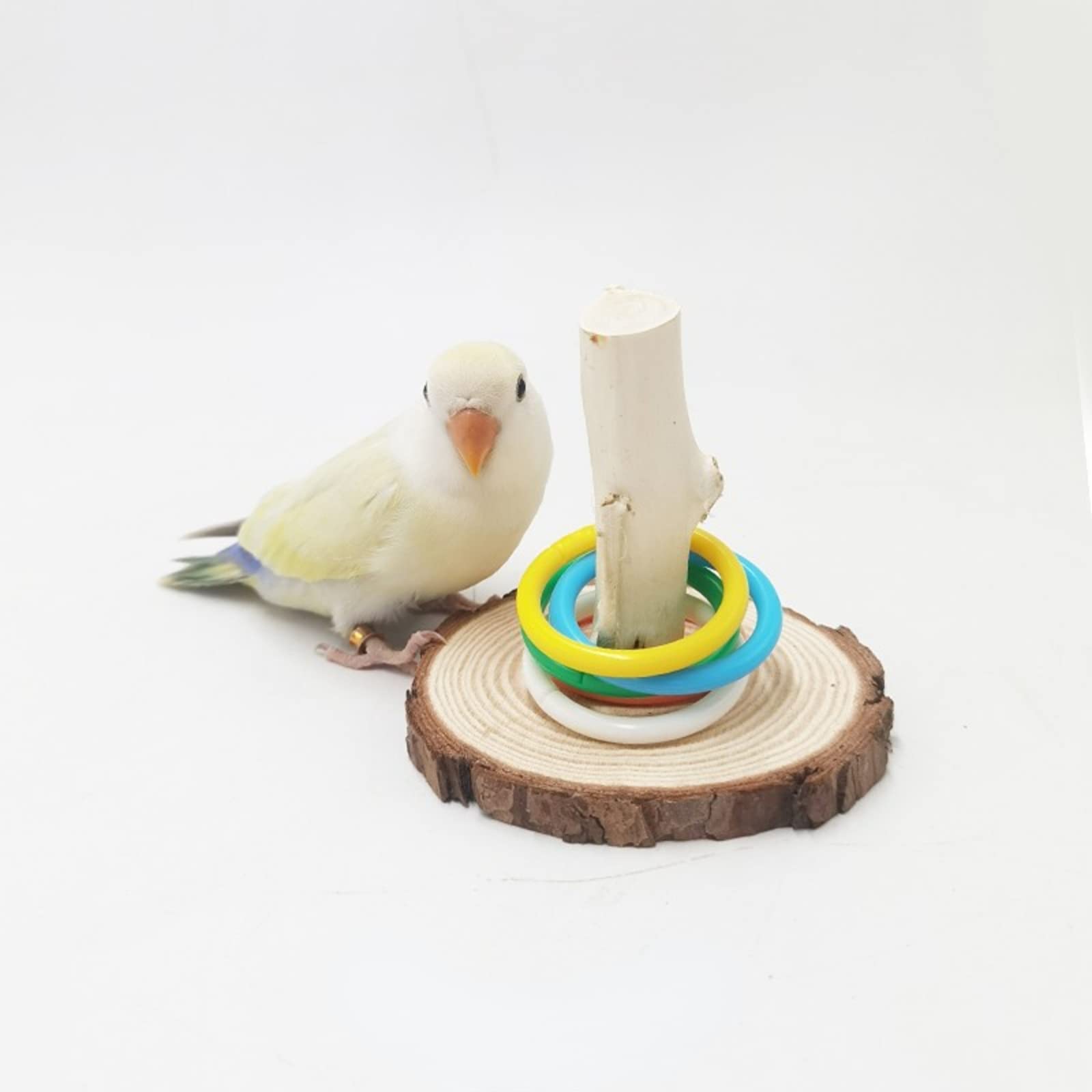 Parrot Trick Training Toys - Bird Tabletop Toys with 5 Color Rings - Stacking & Training Toy Set for Small & Medium Birds Like Parrots, Budgies, Cockatiels & Parakeets - Perfect for Mental Stimulation & Bonding Activities