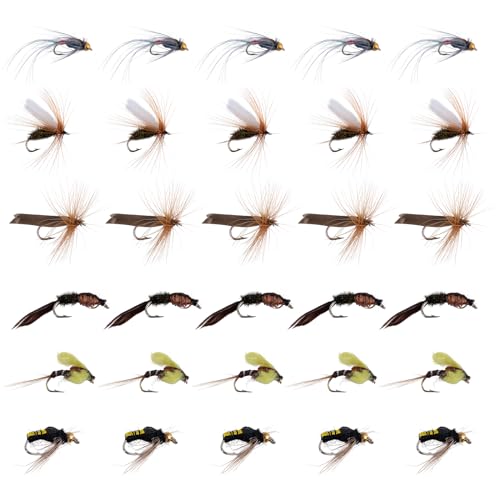 B:30pcs Fly Fishing Flies