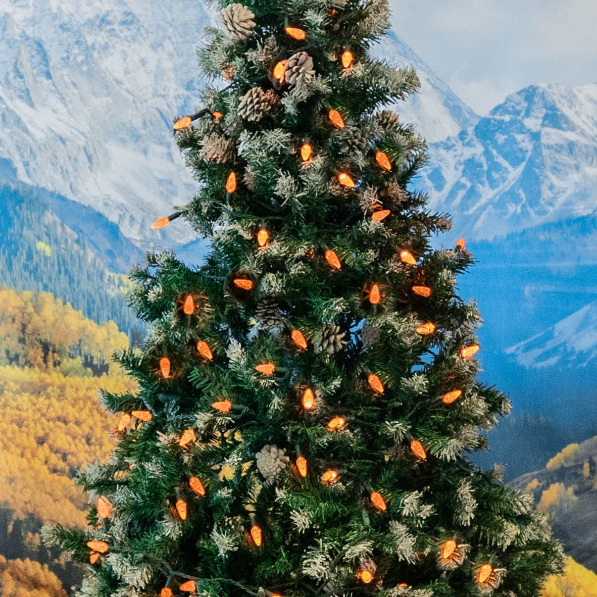 70 LED C6 Halloween String Lights 24FT - Orange Commercial Grade Outdoor Christmas Tree Lights, Permanent LED Decorations for Halloween, Christmas, Parties, and Year-Round Outdoor Decor