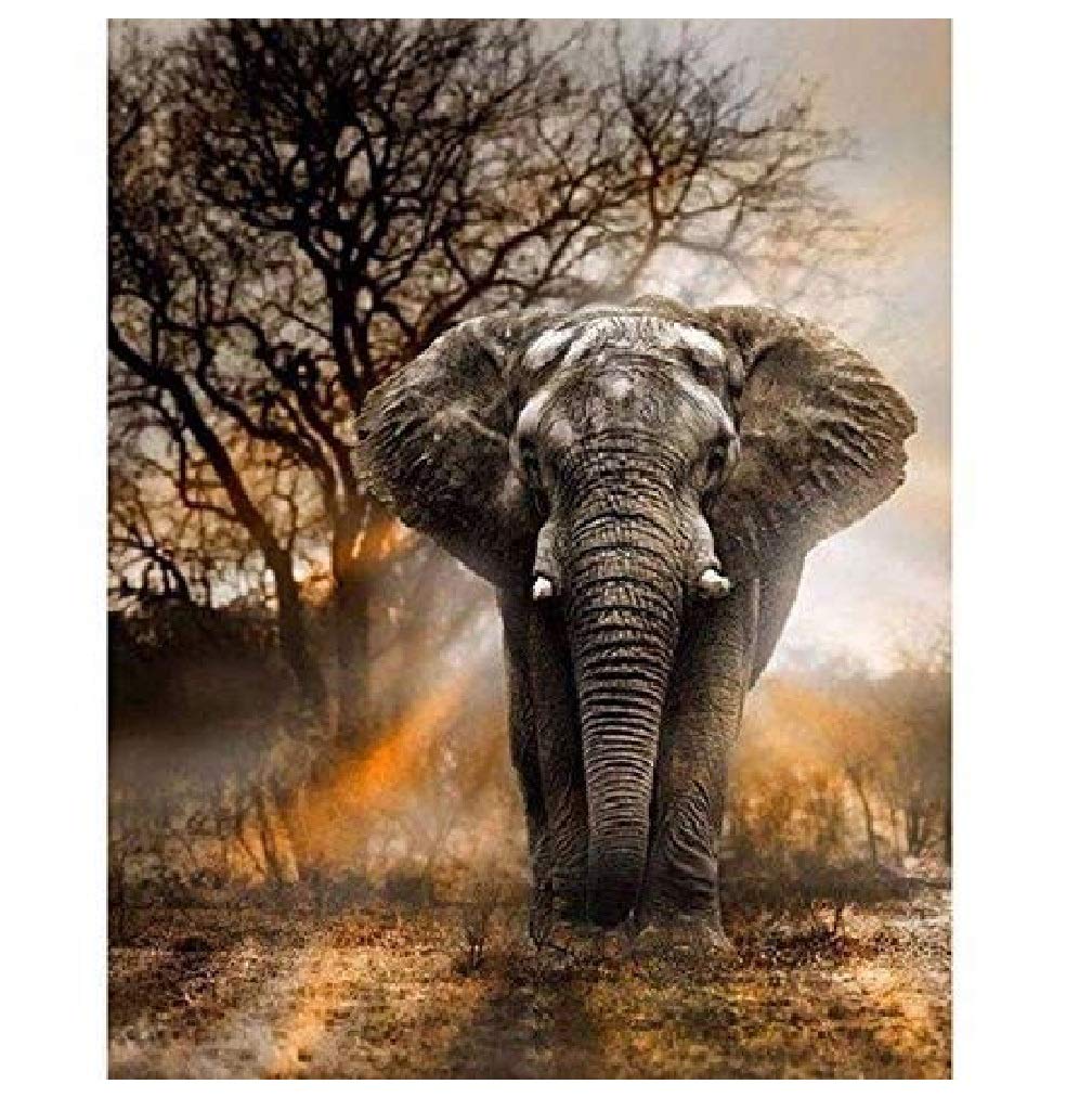 ACANDYL DIY Paint by Numbers Kit for Adults Beginners - Elephant Themed 16x20 Inch Canvas with Acrylic Paints | Fun Relaxing Art Therapy, Home Wall Decor & Gift Idea for Artists