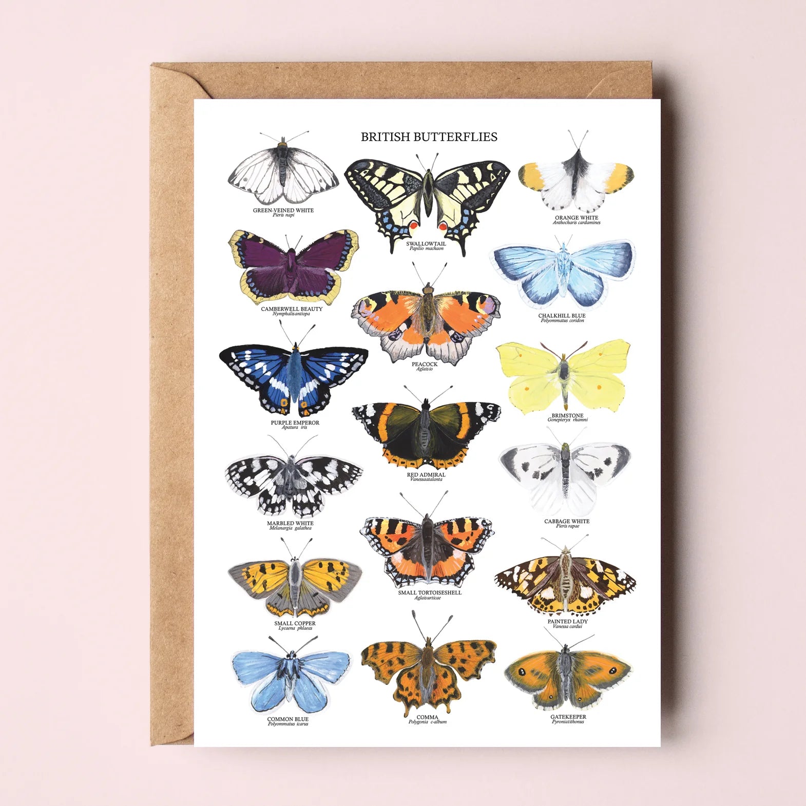 British Butterflies Greetings Card - Elegant Floral Design for Birthday, Anniversary & Thank You Cards - Perfect for Special Occasions & Gifts