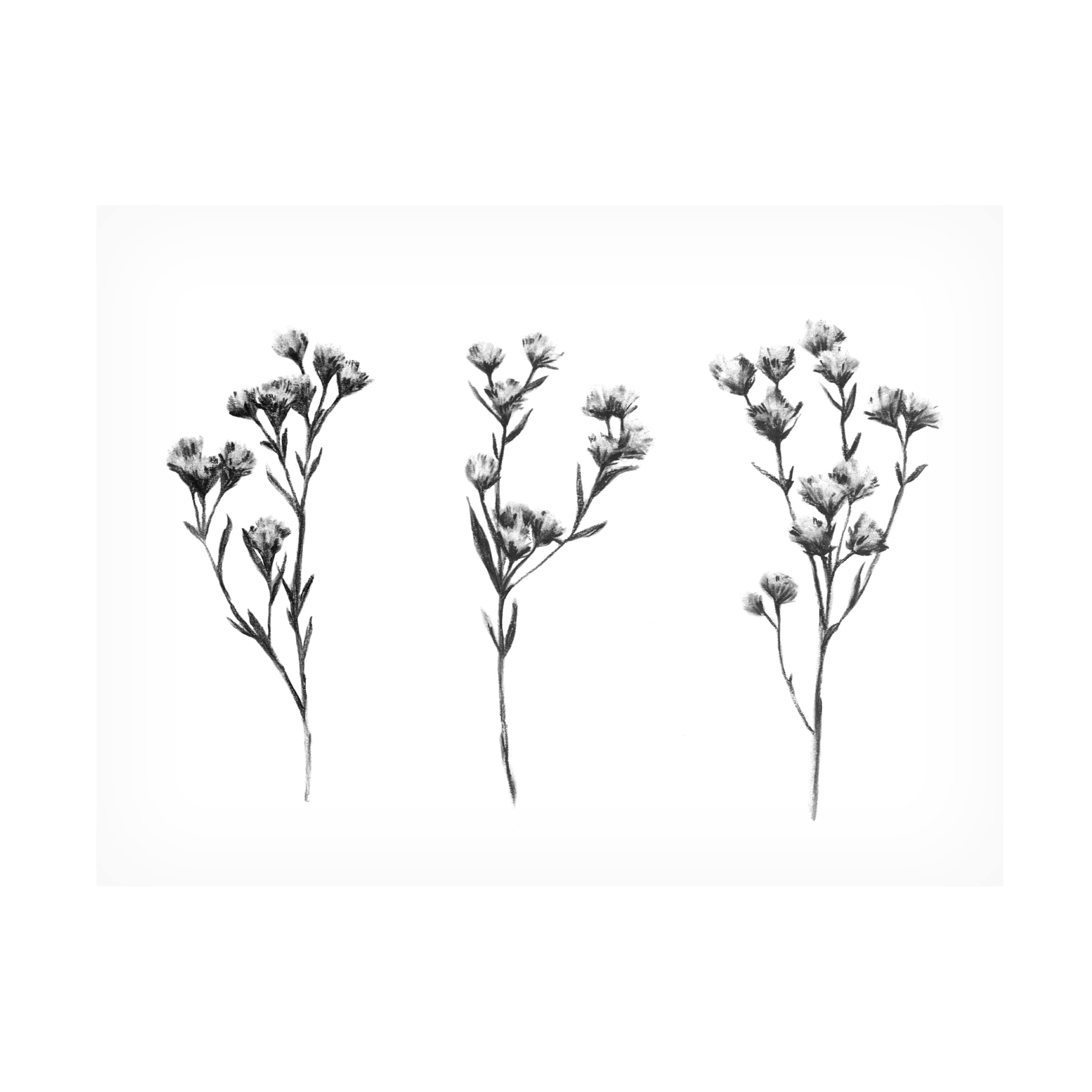 Emma Scarvey 'Wild Thistle IV' Canvas Wall Art Print - Floral Botanical Home Decor for Living Room, Bedroom & Office