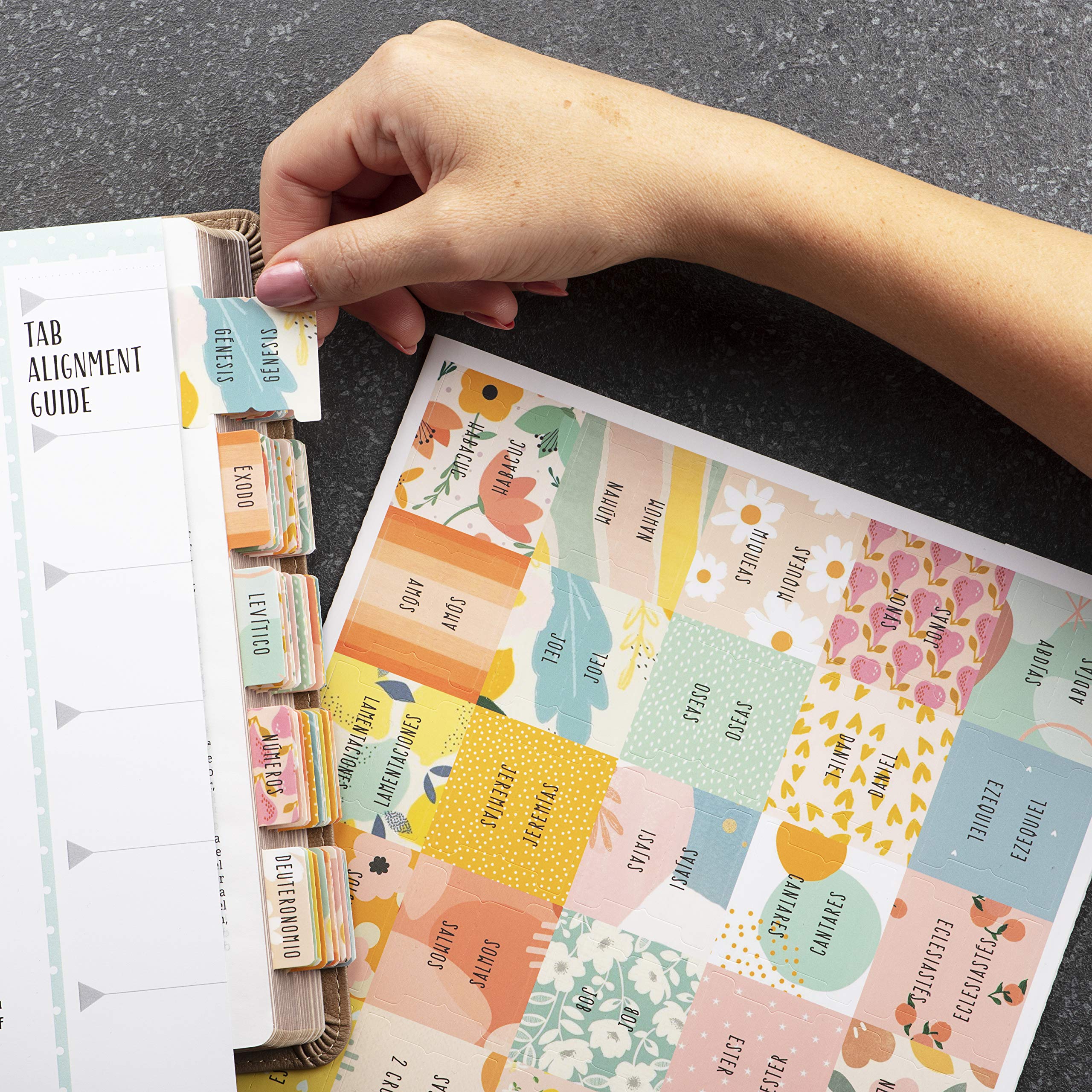 DiverseBee Spanish Bible Tabs - Large Print Easy Read Bible Journaling Supplies, 66 Old & New Testament Tabs with Catholic Books + 9 Blank Tabs, Perfect Christian Gift for Bible Study, Church, and Personal Devotion (Alegria Theme)