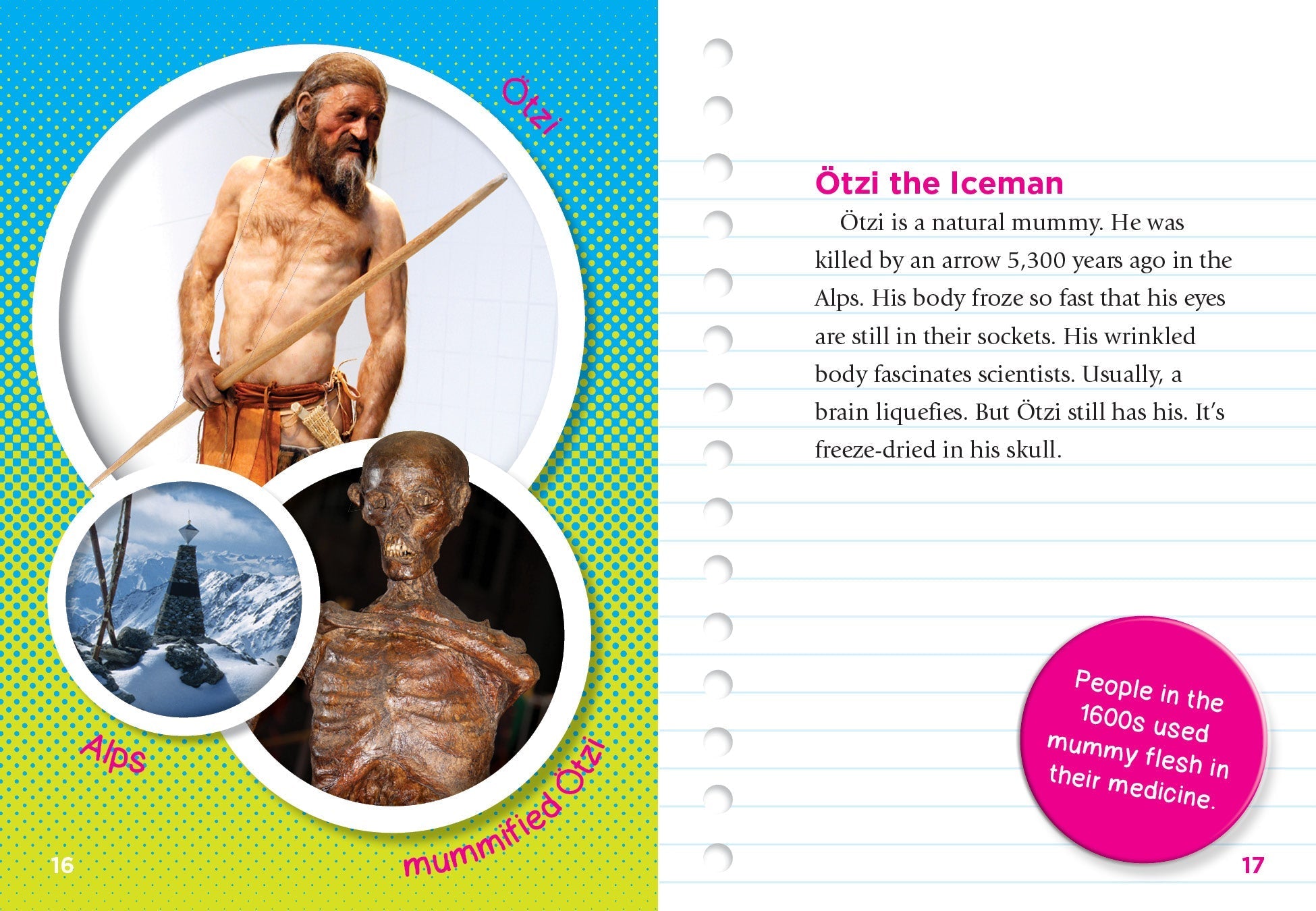 Gross & Awesome History: Fascinating, Disgusting & Unusual Mummy Facts for Kids | Perfect for Halloween Learning & History Enthusiasts