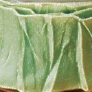 1.5 Inch x 22 Yards Lime Green French Wired Taffeta Craft Ribbon for Gift Wrapping, Floral Arrangements & DIY Wedding Decorations