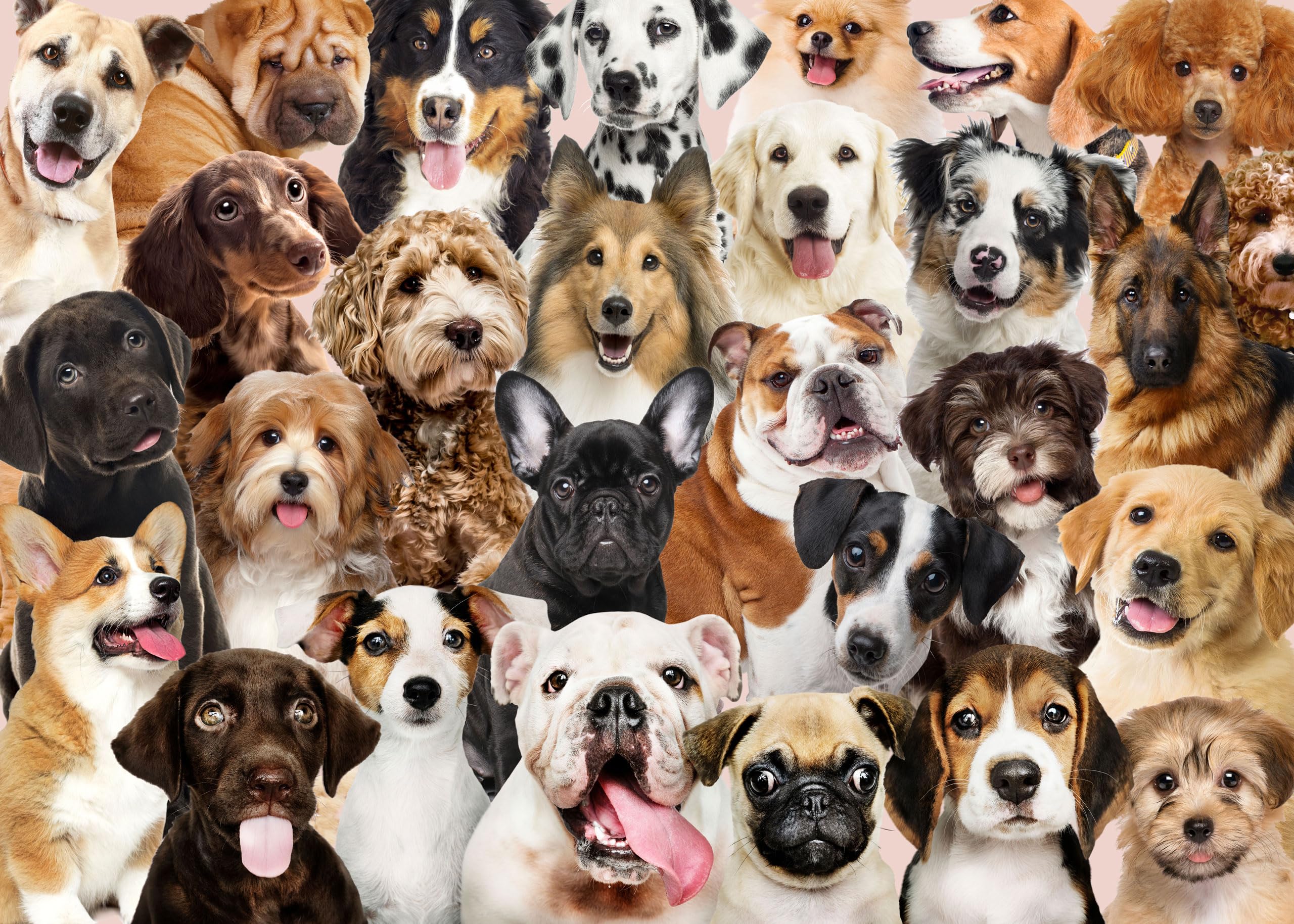 PETER PAUPER PRESS All The Dogs 1000 Piece Jigsaw Puzzle - Fun Family Activity, Home Decor & Gift for Dog Lovers | Challenging Large Puzzle for Adults & Teens