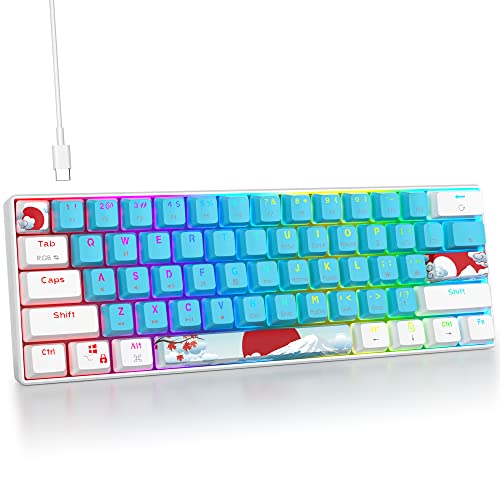 Blue/ Blue switch