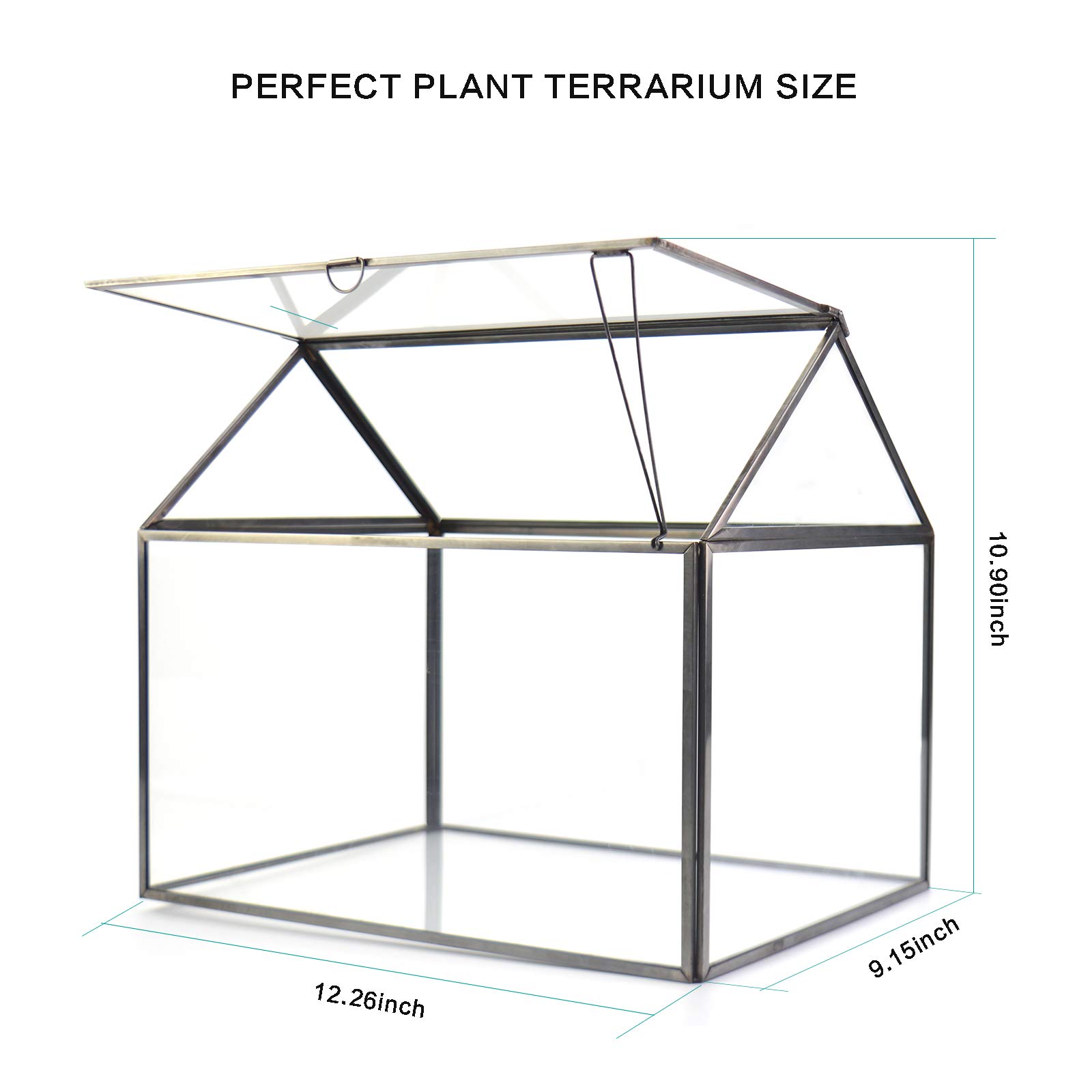 Large Glass Plant Terrarium for Succulents - 12.26x9.15x10.9 Inch Black Greenhouse Terrarium Kit with Lip | Perfect for Home Decor, Office Plants & Indoor Gardening Gifts
