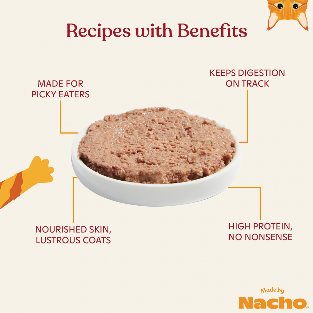 Made By Nacho Grain-Free Cage-Free Chicken Recipe Pate Wet Cat Food for Kittens - High Protein Kitten Food for Healthy Growth, Perfect for Weaning & Picky Eaters