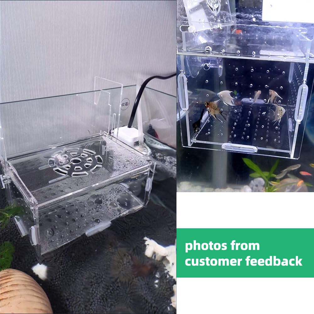 Acrylic Fish Breeding Box - 6x4x4 Inch Aquarium Hatchery & Incubator with Suction Cups for Baby Fish, Shrimp & Clownfish - Perfect for Fish Separation, Breeding Isolation and Safe Nursery in Home Aquariums