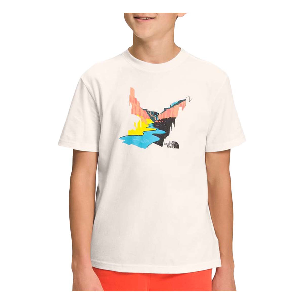 Boys' Short Sleeve Graphic T-Shirt - Cool & Trendy Summer Tees for Kids - Perfect for Playdates, School & Outdoor Activities