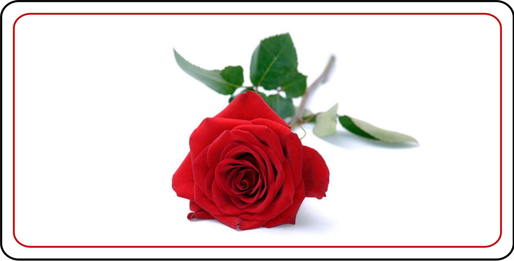 Single Red Rose Photo License Plate - Personalized Car Accessory for Valentine's Day, Anniversary & Romantic Gifts | Customizable Auto Decor for Couples