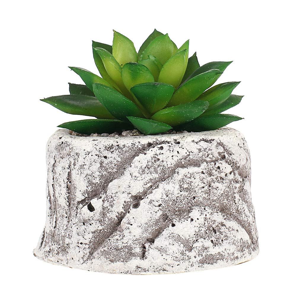VICASKY Decorative Succulent Plant Pots - Ceramic Flower Pots for Cactus, Aloe Vera, Small Plants - Perfect for Home, Office, Garden Decor and Gift Ideas