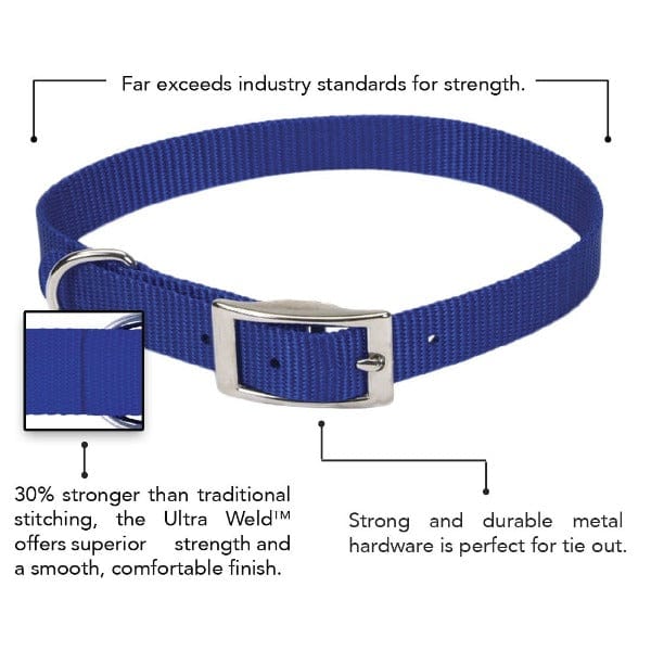 Premium Coastal Single Ply Dog Collar - Durable & Comfortable Pet Collar for Small to Medium Dogs - Perfect for Beach Walks & Outdoor Adventures