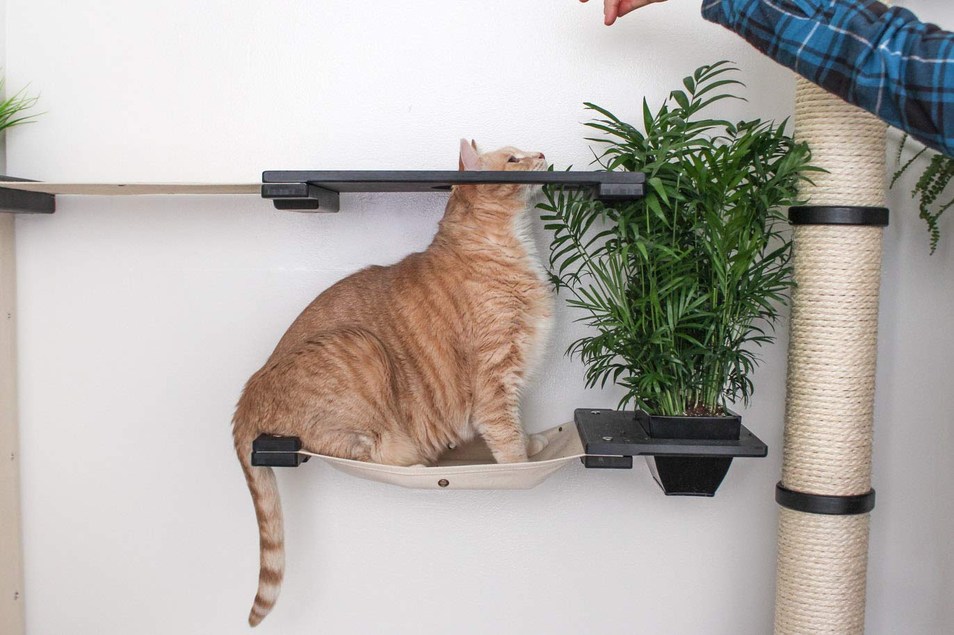 Multi-Level Cat Hammock & Climbing Wall Shelf - Space Saving Cat Activity Center with Scratching Posts, English Chestnut/Charcoal - Perfect for Indoor Cats, Small Apartments & Wall-Mounted Play Areas
