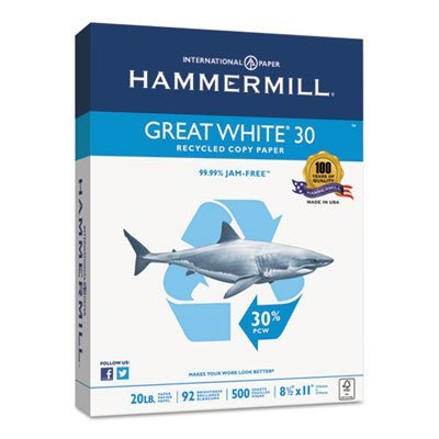 Great White 30 Recycled Paper - 92 Bright, 20lb, Letter Size (LTR), 500 Sheets per Ream, 10 Reams per Case | Perfect for Office Printing, School Projects & Eco-Friendly Home Use