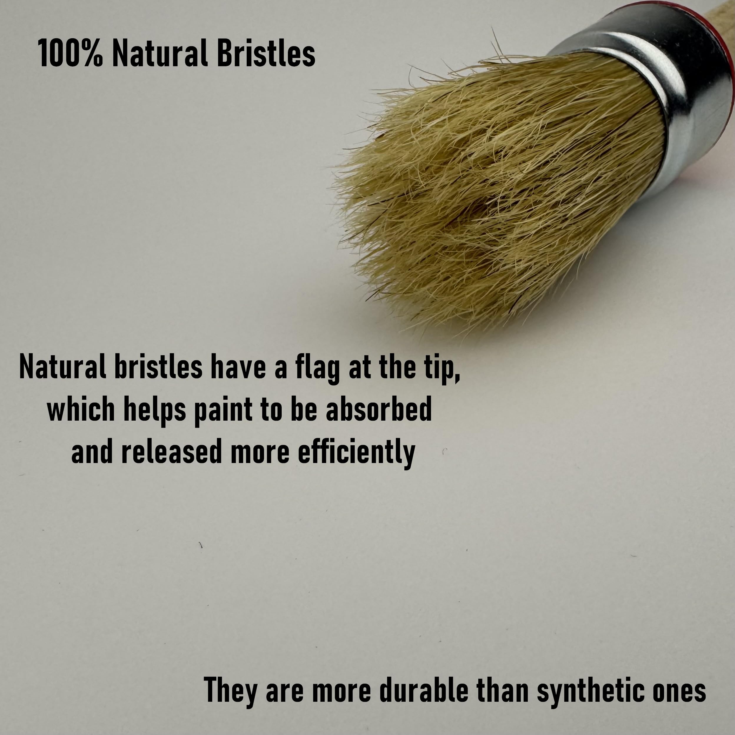 1 Inch Chalk & Wax Round Paint Brush - Premium European Quality Natural Bristles for Home, Wood, Walls, Art, Trim & Furniture - Works with Acrylic, Oil, Stain, Chalk, Wax & Latex Paints - Perfect for DIY Projects, Home Decor & Professional Painting