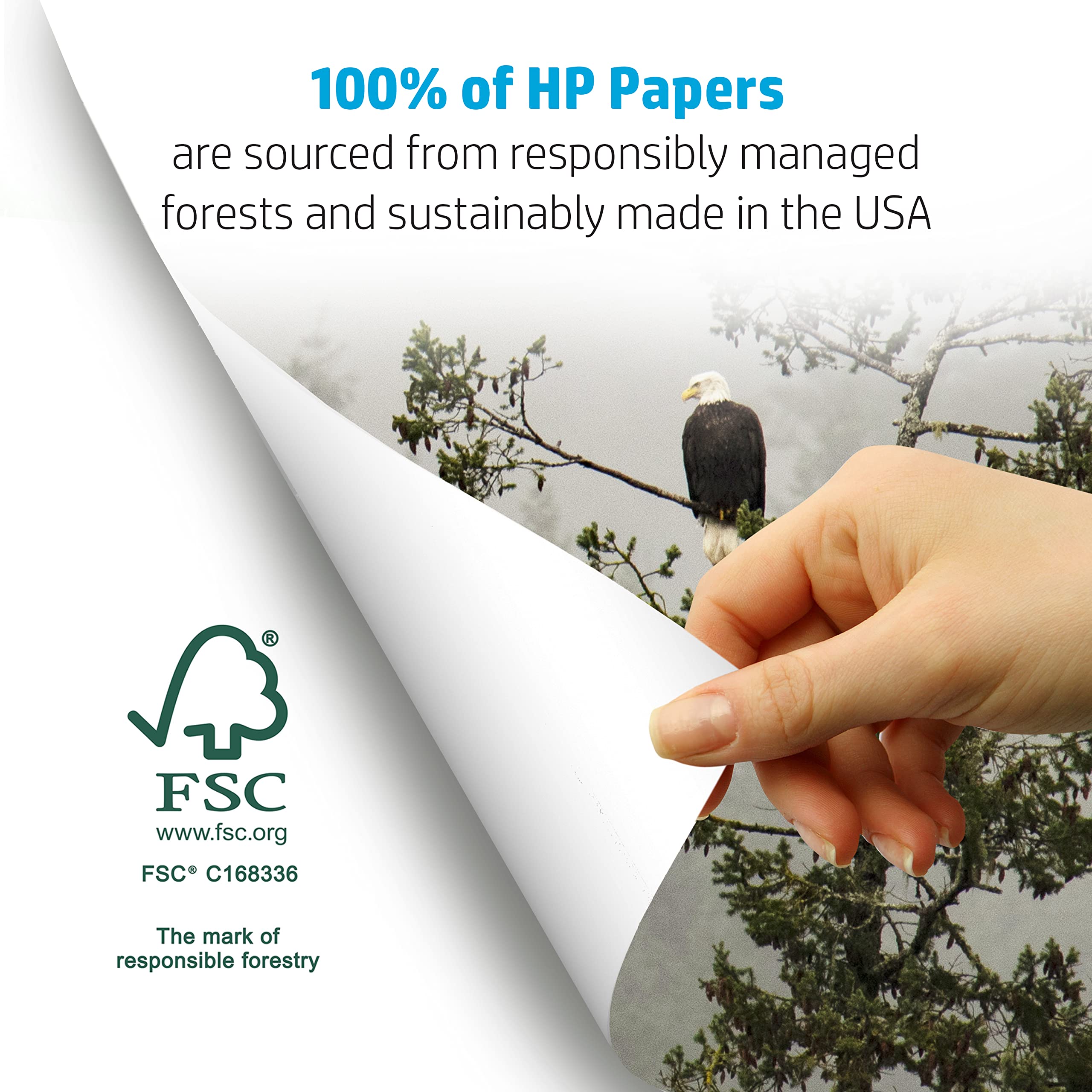 HP Printer Paper 8.5 x 11 Inches | 24 lb Bright White Copy Paper | 5 Ream Case (2500 Sheets) | 100 Brightness | FSC Certified | Made in USA | Ideal for Office, School & Home Printing