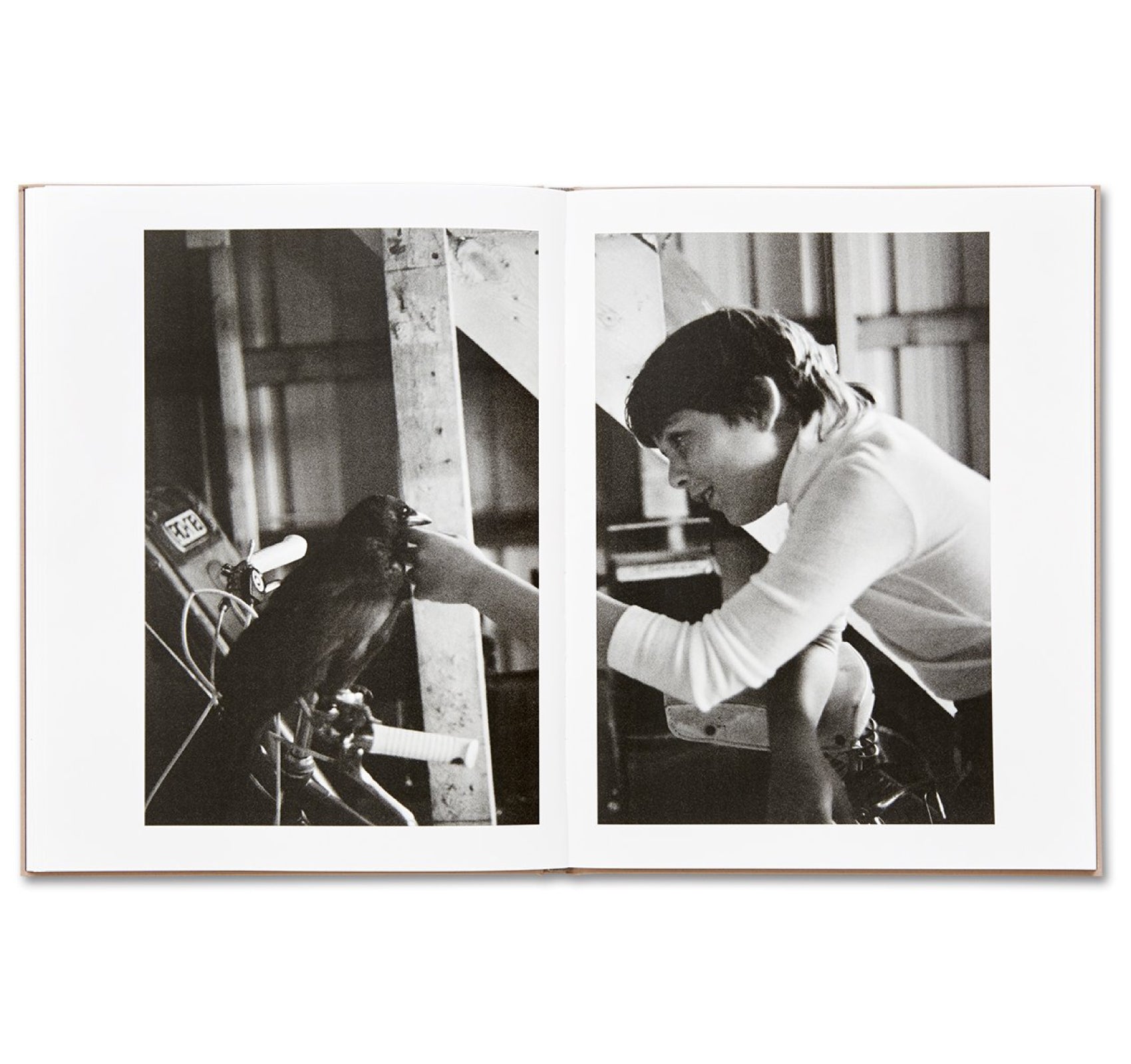 Murder by Guillaume Simoneau - Crime Photography Book - Perfect for Art Collectors & Noir Enthusiasts