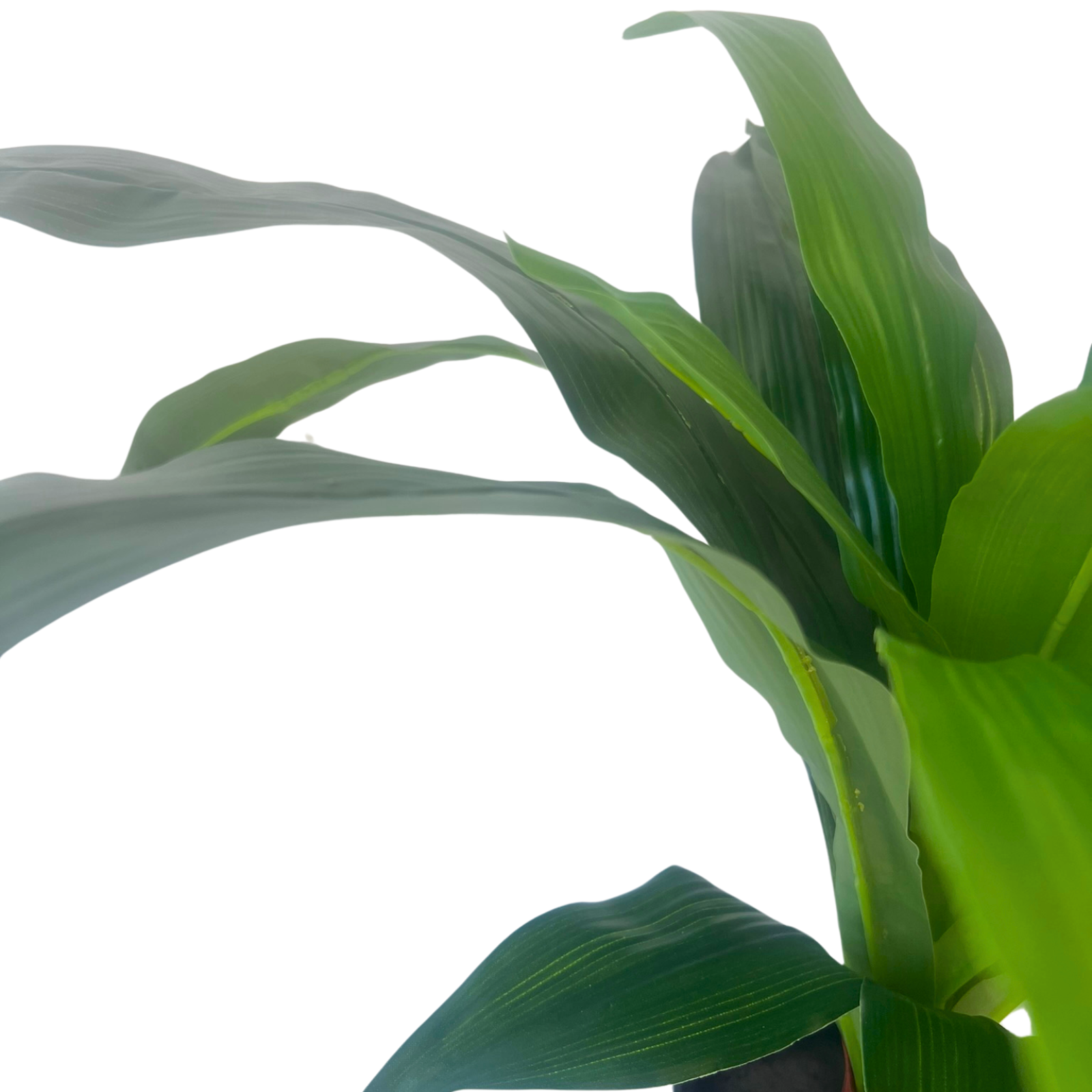 50cm Artificial Dracaena Plant - Realistic Fake Dracaena Tree for Home Decor, Office, Living Room, Bedroom & Indoor Spaces
