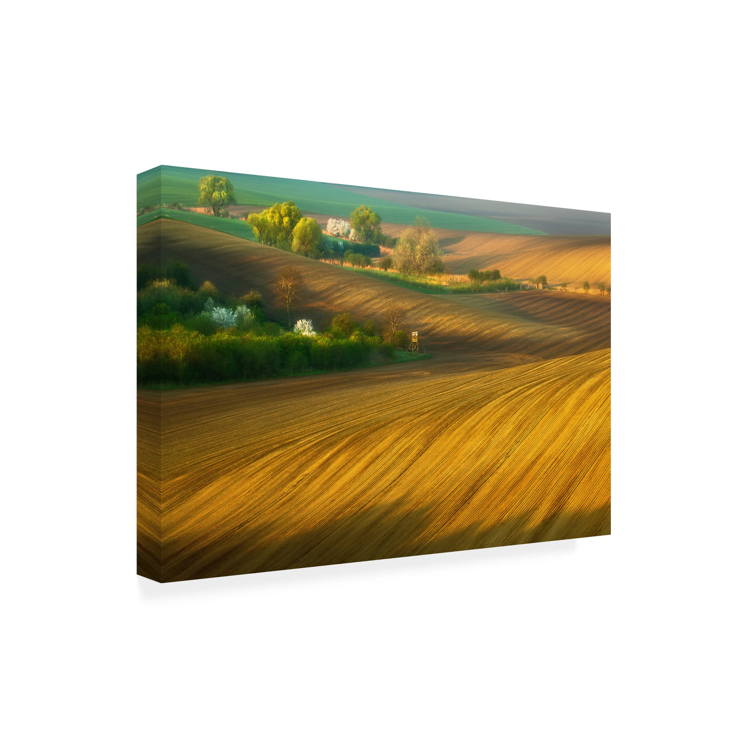 Trademark Fine Art 'Fields' Canvas Wall Art by Krzysztof Browko - Landscape Painting for Living Room, Bedroom & Office Decor
