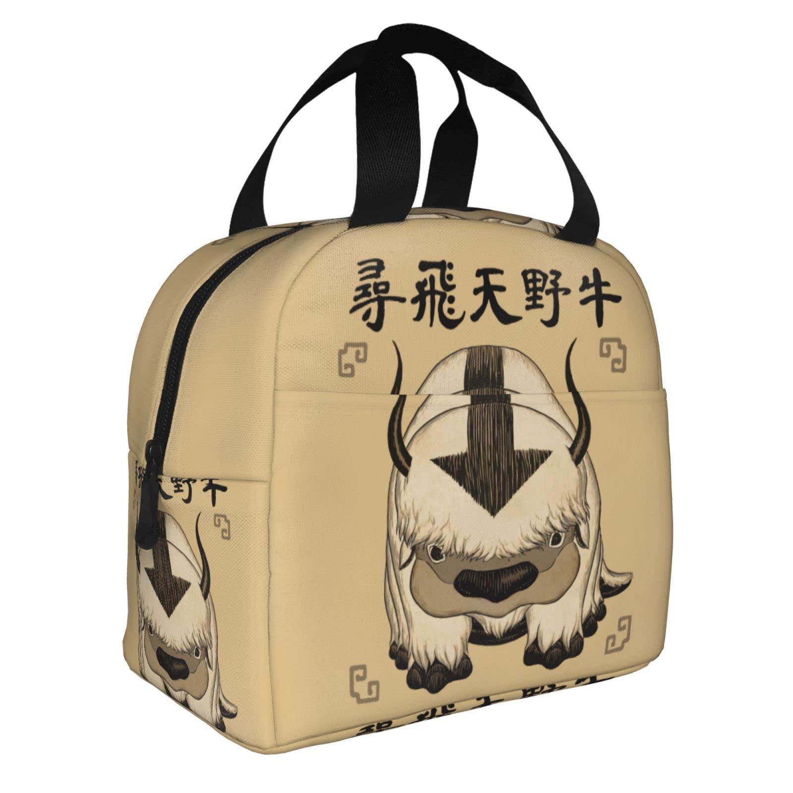 Insulated Lunch Bag for Women & Men - Reusable Lunch Tote for Work, Office, Picnic & Travel - BPA-Free Leakproof Cooler Lunch Box for Adults (Perfect for Commuting, School & Outdoor Activities)