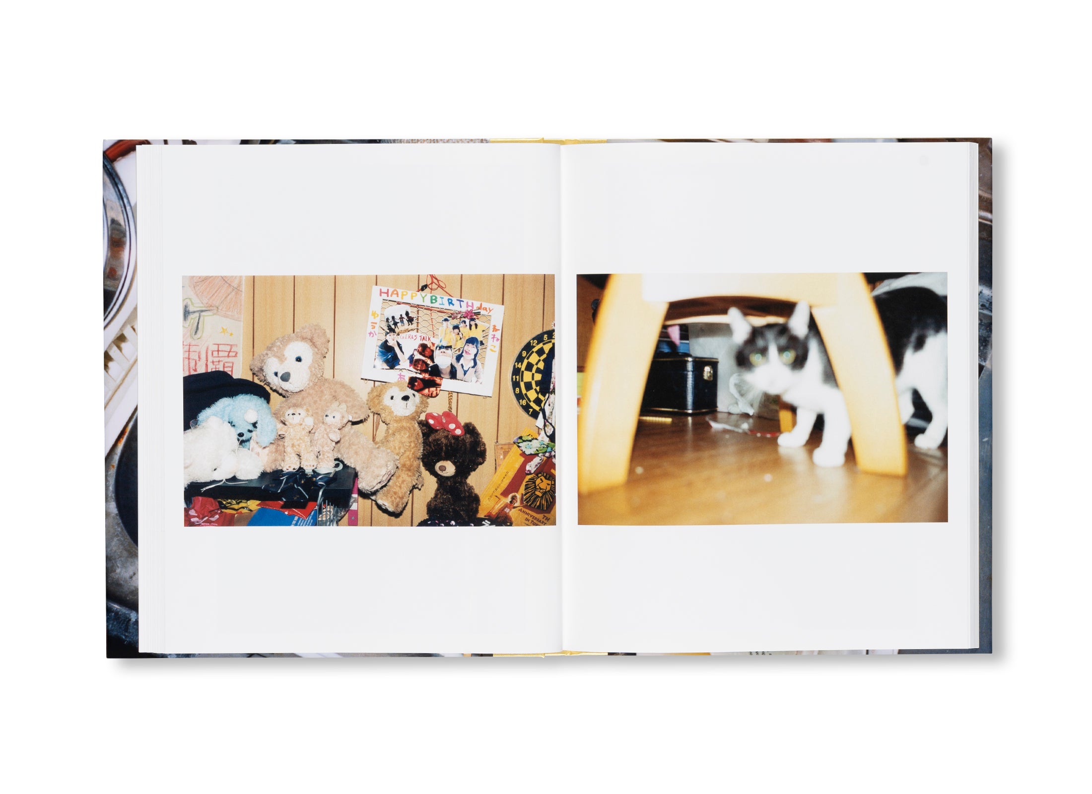 Signed Book: MY FAMILY IS A PUBIS SO I COVER THEM IN PRETTY PANTIES by Motoyuki Daifu - Photography Art Book for Collectors & Contemporary Art Lovers