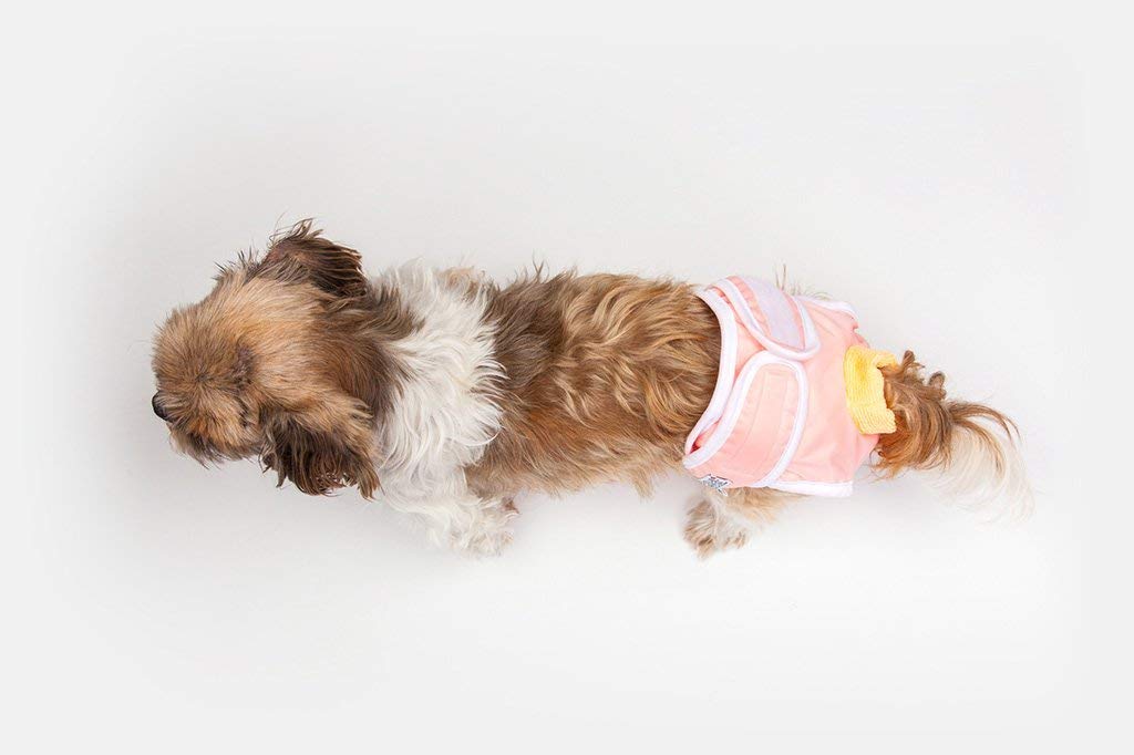 Washable Female Dog Diapers - Premium Reusable & Absorbent Pet Panties for Medium Dogs | Perfect for Incontinence, Heat Cycles & Travel (Medium, Purple)