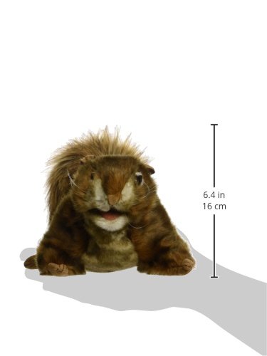 Folkmanis Red Squirrel Hand Puppet - Realistic Animal Puppet for Storytelling, Education & Play - Perfect for Teachers, Parents & Kids (Interactive Toy for Classroom & Home Use)