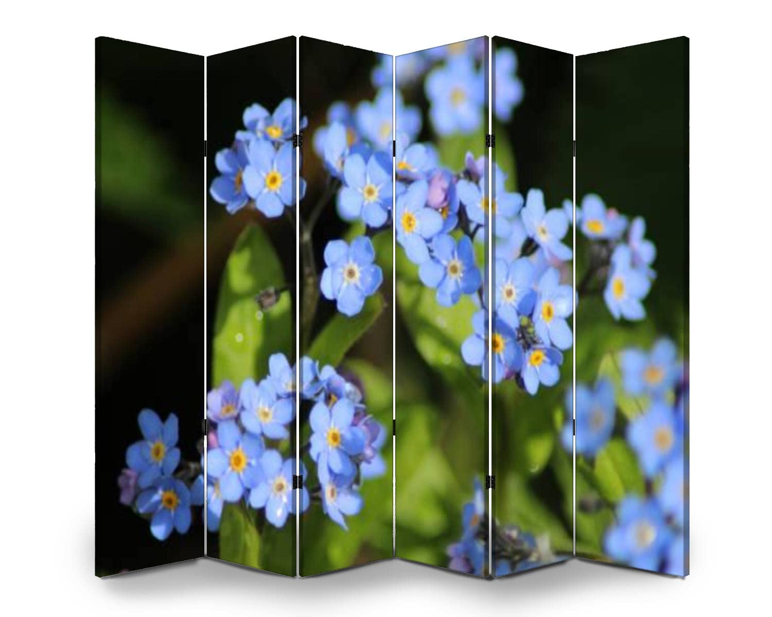 6-Panel Folding Room Divider Screen - Myosotis Arvensis Floral Design - Freestanding Privacy Partition for Indoor/Outdoor Use - Perfect for Home Office, Nursery, or Event Space Separation