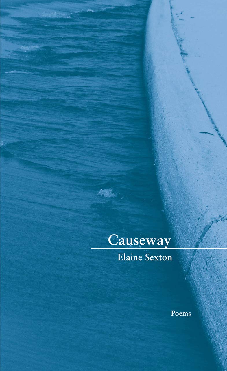 Causeway by Green Rose Books - Classic Literature Novel for Book Lovers - Perfect for Reading, Book Clubs & Gifts