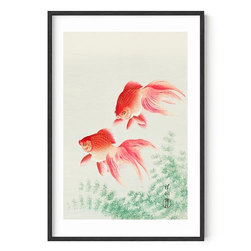 Goldfish