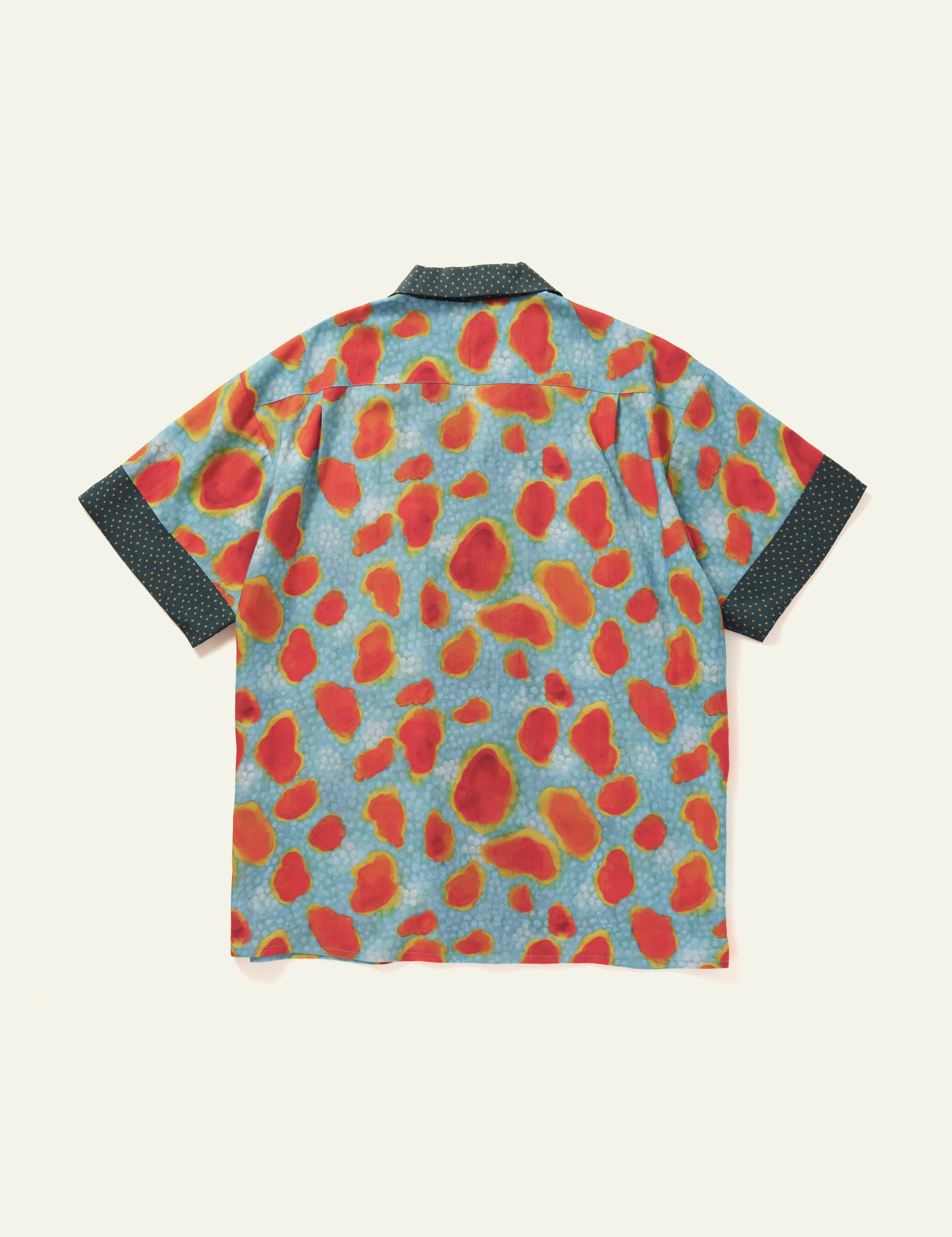 Tokek Gecko Short Sleeve T-Shirt - Comfortable Casual Graphic Tee for Men & Women - Perfect for Summer Outings, Beach Trips and Reptile Lovers