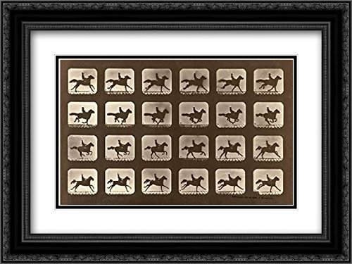 Eadweard Muybridge Motion Study: Man Riding A Galloping Horse - 18x14 Black Ornate Framed & Double Matted Museum Art Print - Perfect for Home Decor, Office Wall Art & Photography Enthusiasts